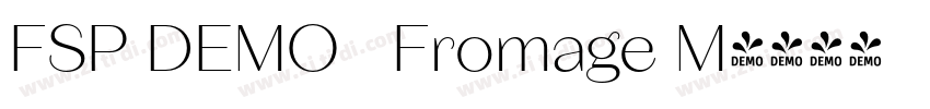 FSP DEMO   Fromage M字体转换